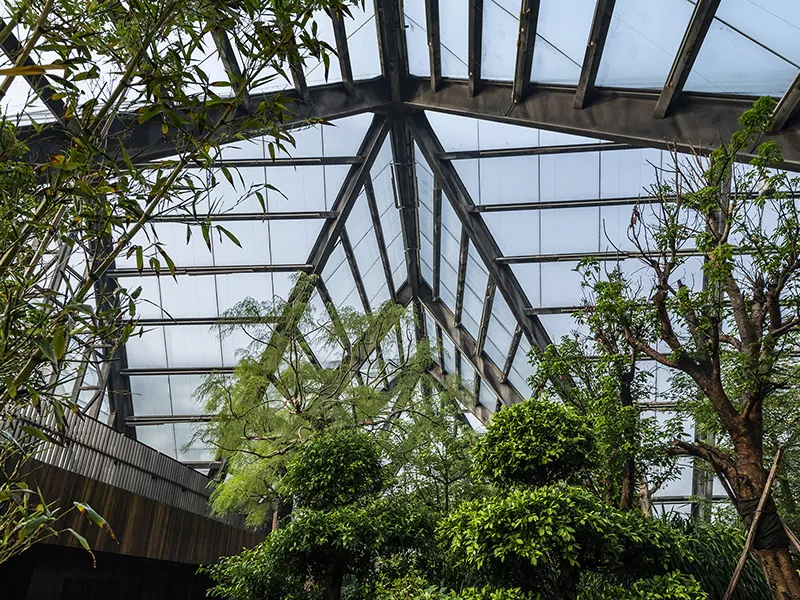 Stlọ Nzukọ Botanical