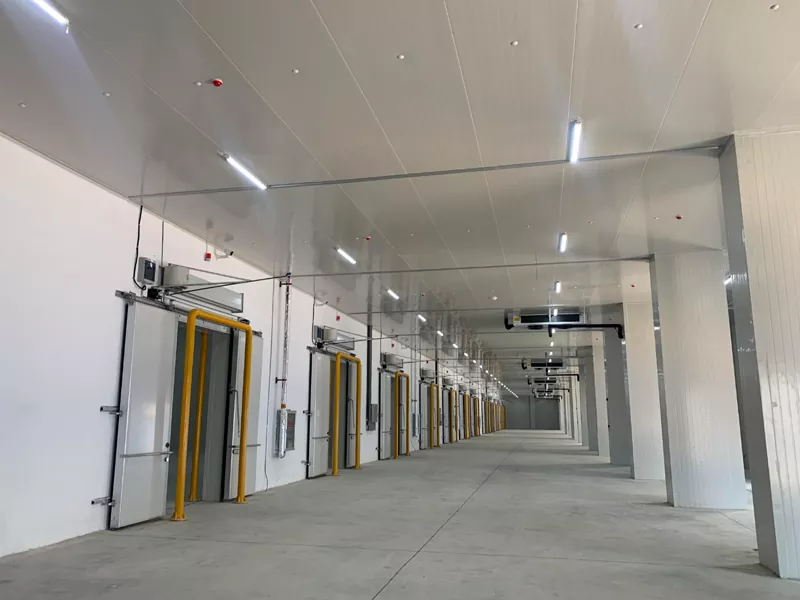 Ụlọ nkwakọba ụlọ nke steel